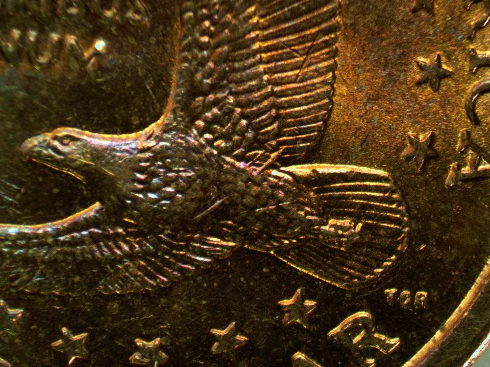 2000-P-Sacajawea-Dollar